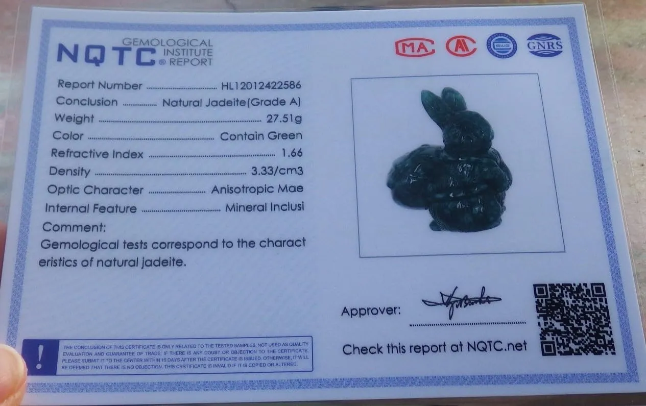 Certified Black Green A Jade jadeite Pendant Rabbit Bag ???? 695683 AS