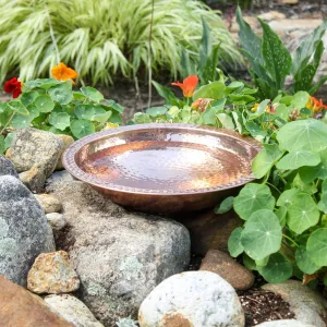 Copper Bowl Birdbath