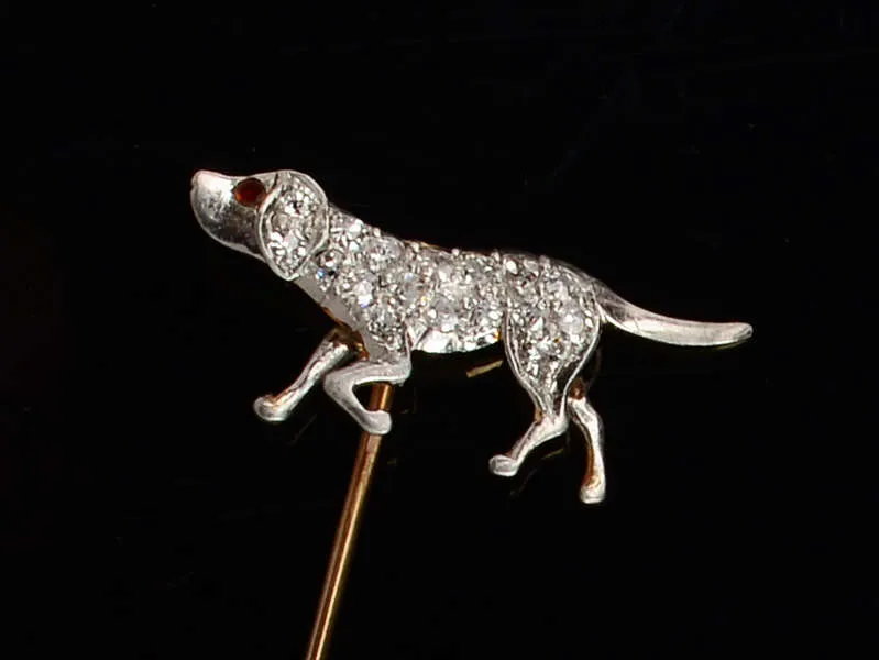 New Tricks - Diamond Dog Stickpin
