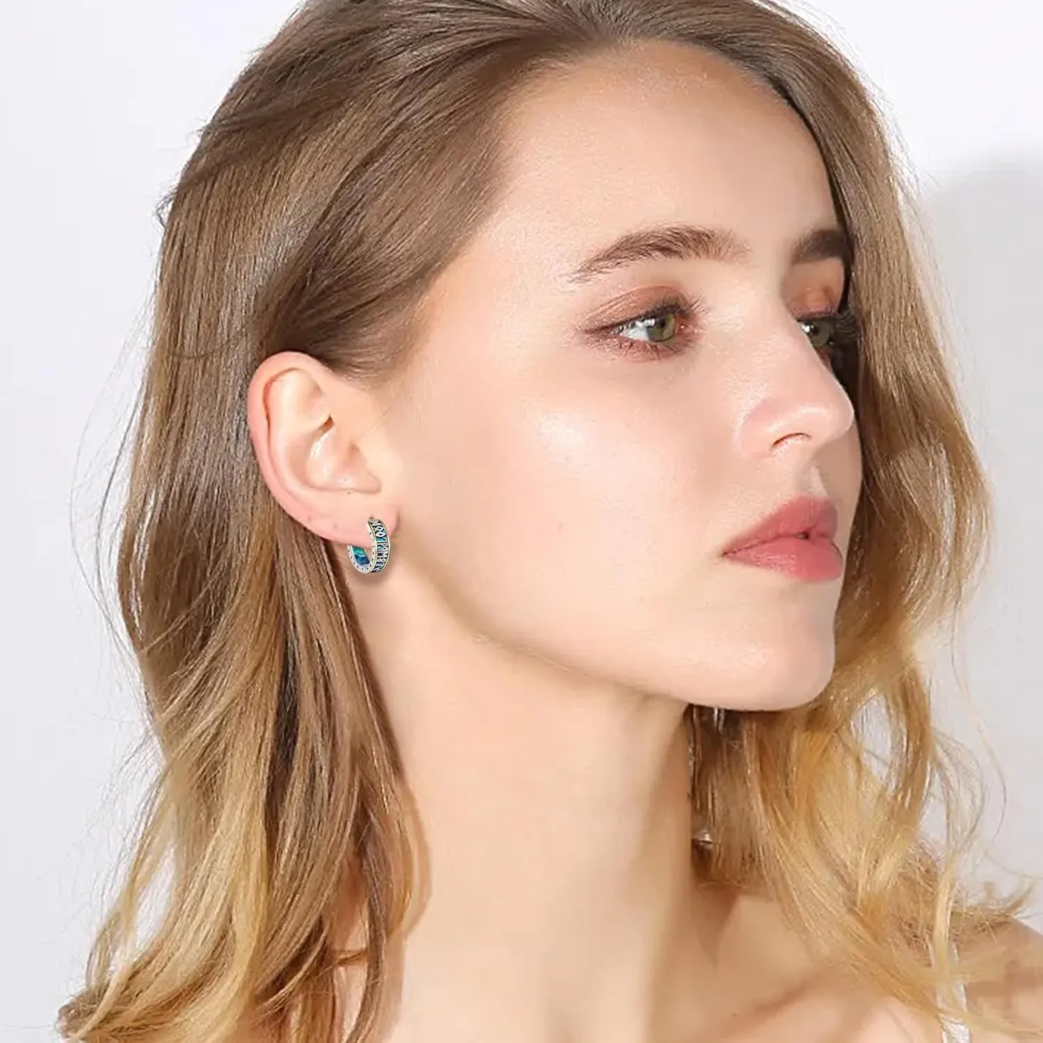 Sterling Silver Dachshund/Graduation/Butterfly Stud Earrings Gifts for Women Cubic Zirconia Cute Animal Earring Jewelry for Her